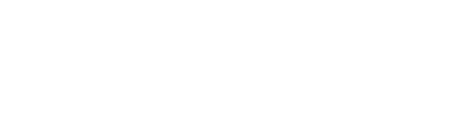 API5000 Logo